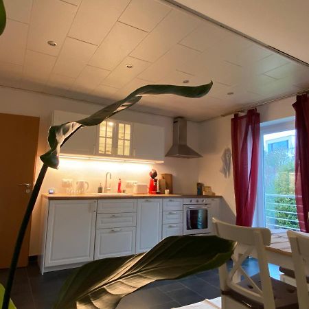 Moderne Ferienwohnung Seeblick ฟรอยเดนแบร์ก ภายนอก รูปภาพ