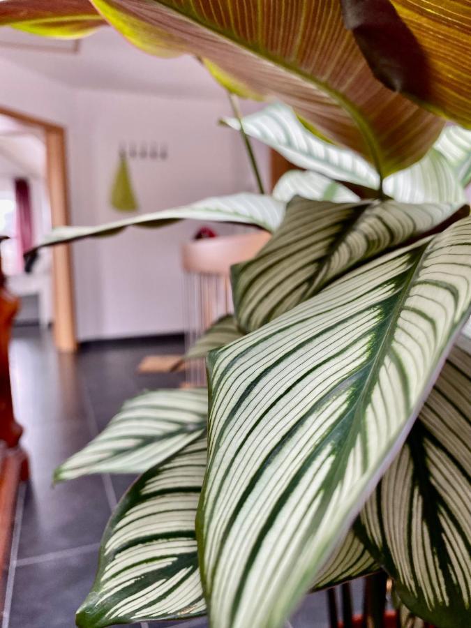 Moderne Ferienwohnung Seeblick ฟรอยเดนแบร์ก ภายนอก รูปภาพ